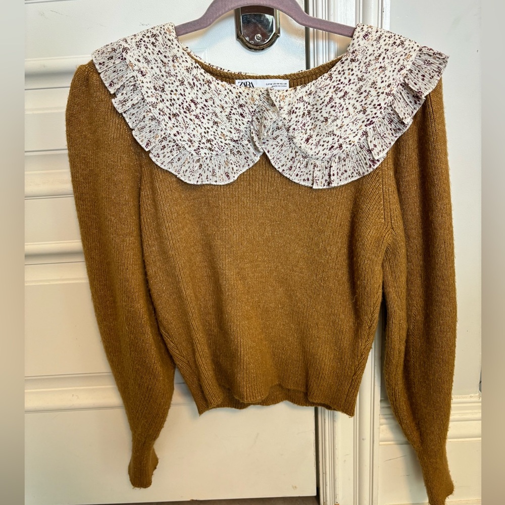 Zara Brown Crew Neck Sweater with chiffon Collar